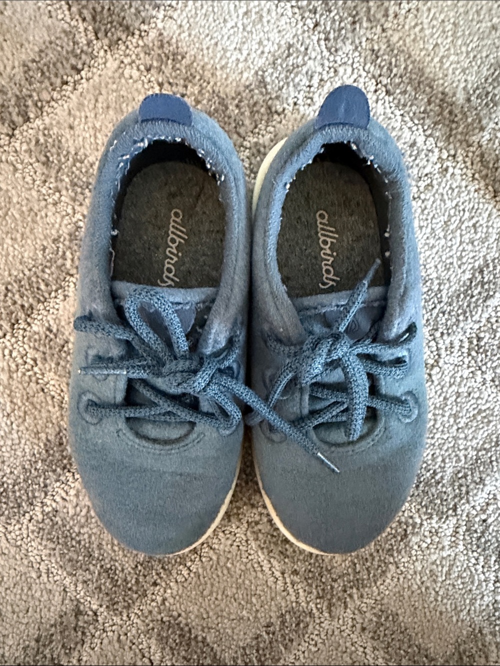 allbirds Kids Wool Sneakers in Blue
